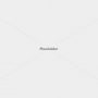 placeholder-1600 placeholder-1600